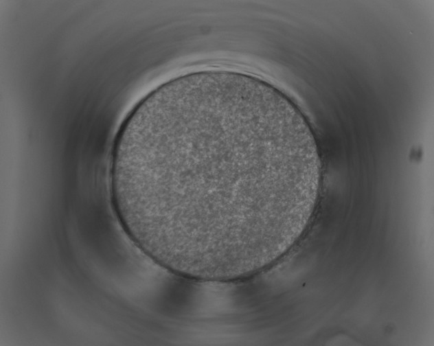 X0000092081514200710101029