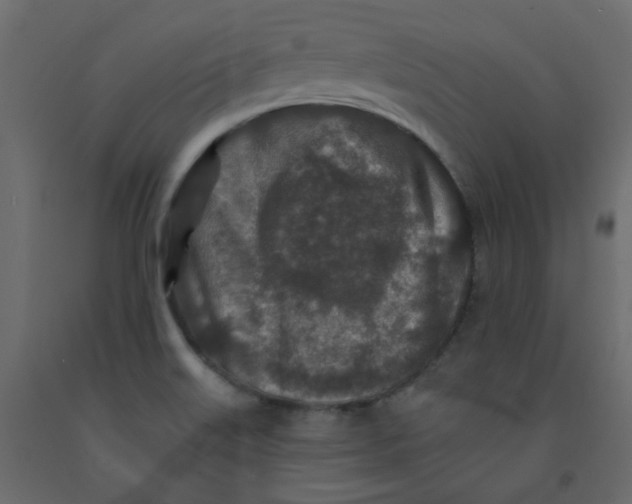 X0000092081515200710101029