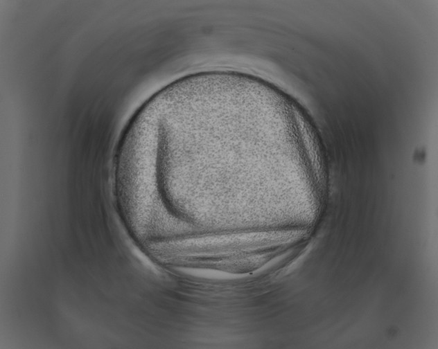 X0000092081517200710101029