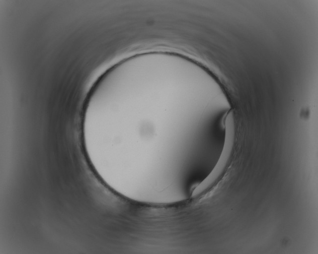 X0000092081518200710101029