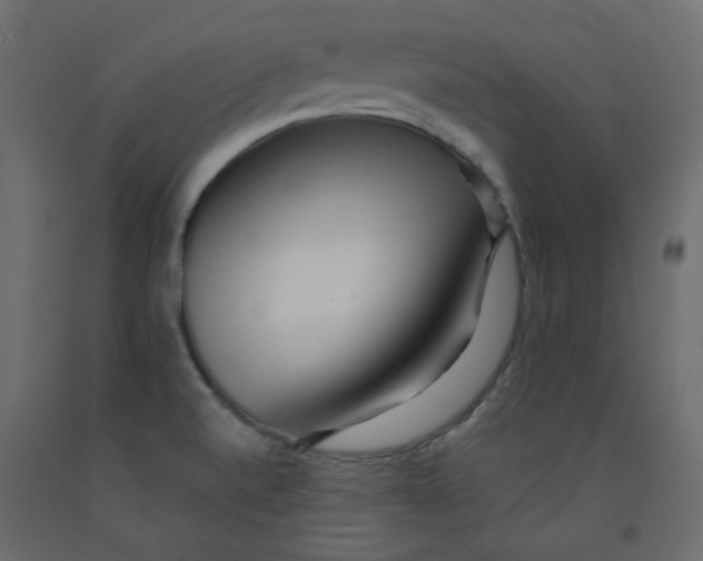 X0000092081520200710101029