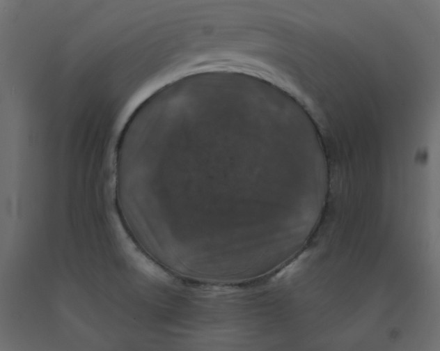 X0000092081522200710101029