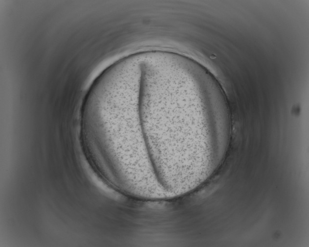 X0000092081523200710101029