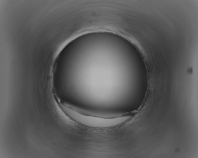 X0000092081524200710101029