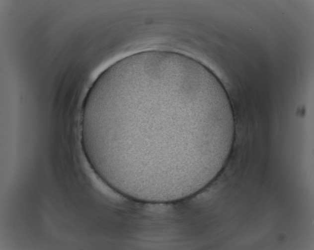 X0000092081526200710101029