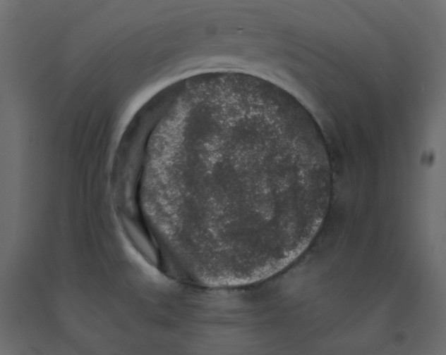 X0000092081527200710101029