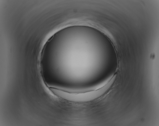 X0000092081528200710101029