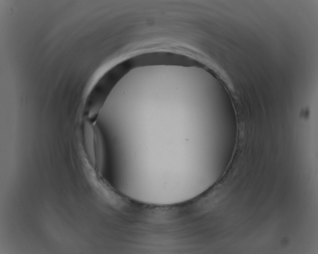 X0000092081530200710101029