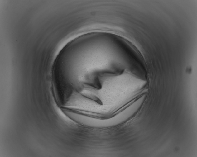 X0000092081531200710101029