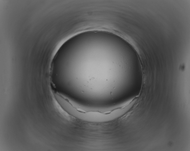 X0000092081532200710101029