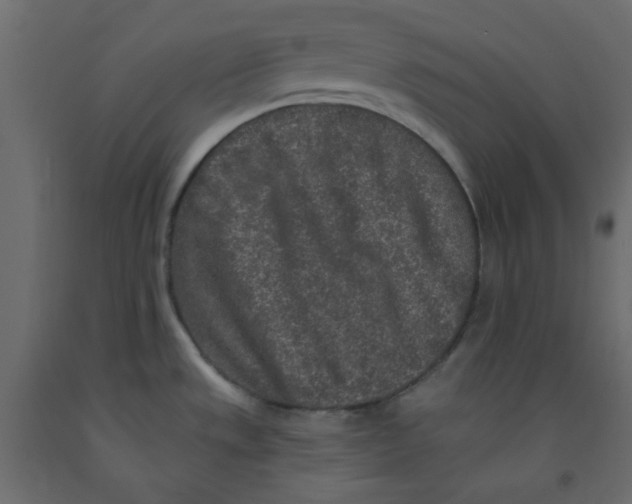 X0000092081533200710101029