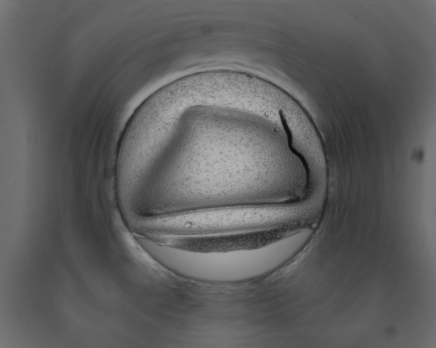 X0000092081534200710101029