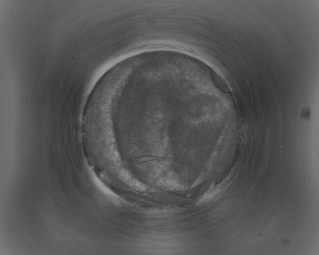 X0000092081535200710101029