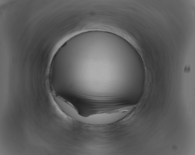 X0000092081536200710101029