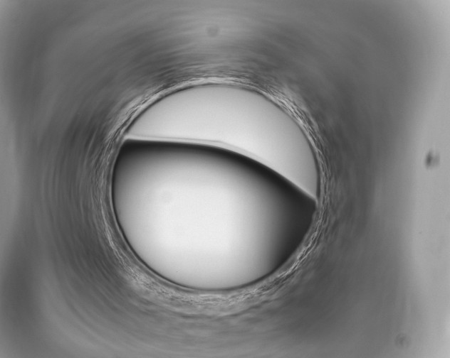 X0000092090001200709121135