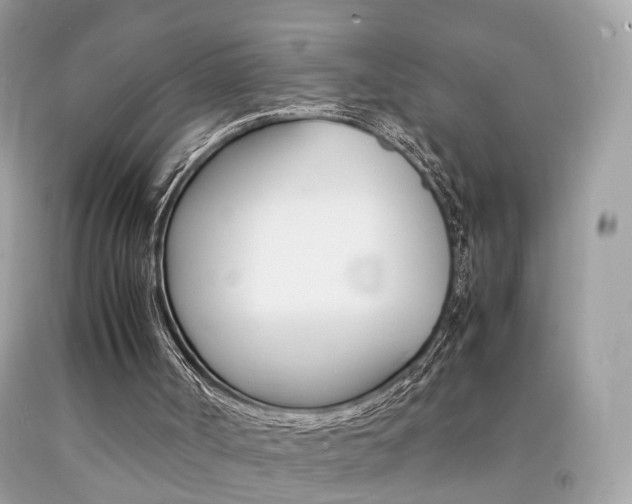 X0000092090002200709121135