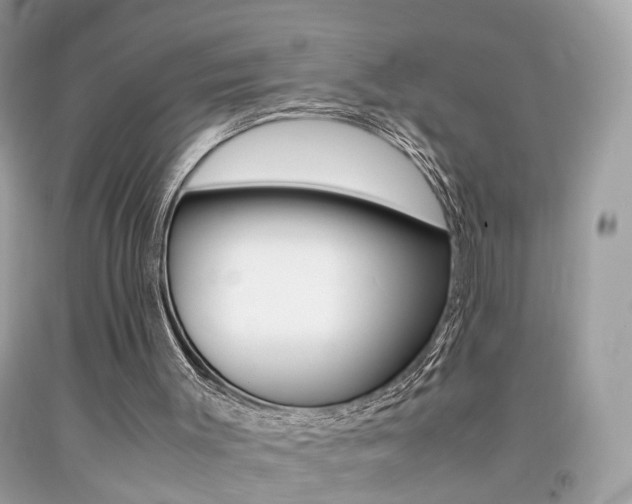 X0000092090003200709121135