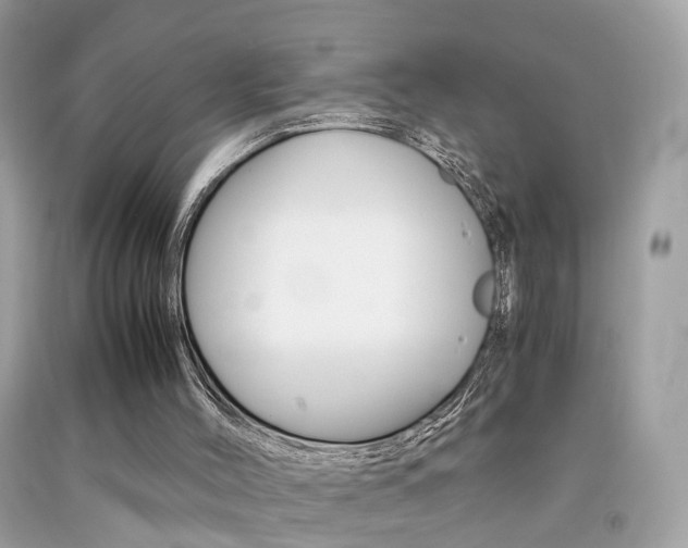 X0000092090004200709121135