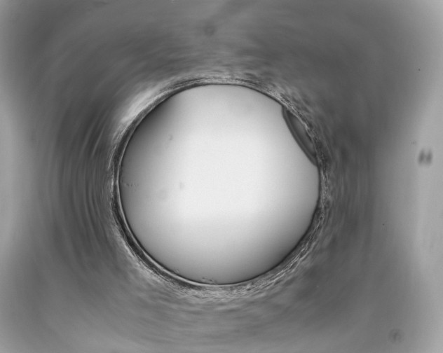 X0000092090005200709121135