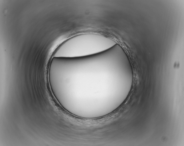 X0000092090006200709121135