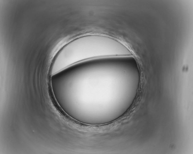 X0000092090007200709121135