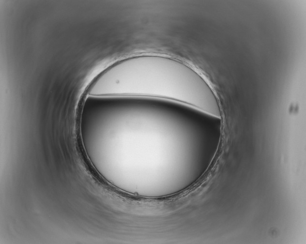 X0000092090008200709121135