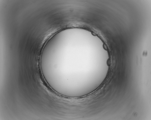 X0000092090010200709121135