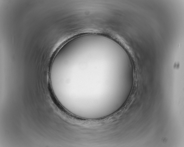 X0000092090011200709121135