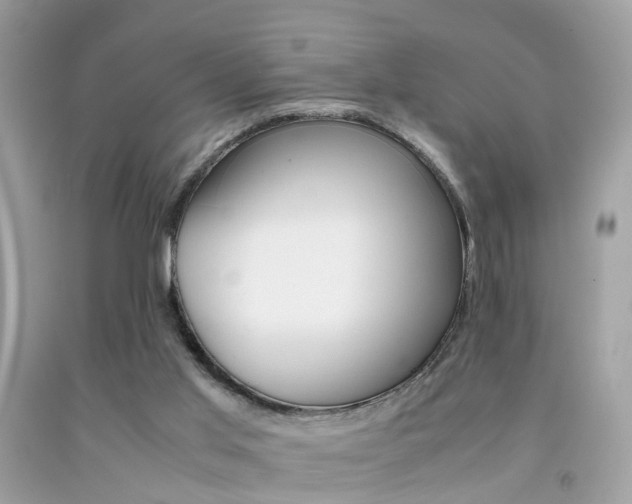 X0000092090013200709121135