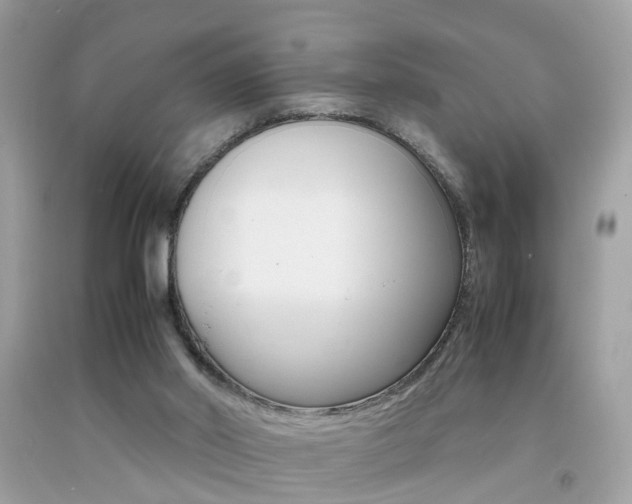 X0000092090014200709121135