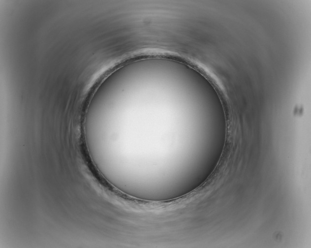 X0000092090015200709121135