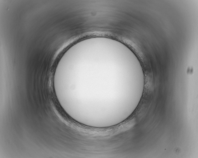 X0000092090016200709121135