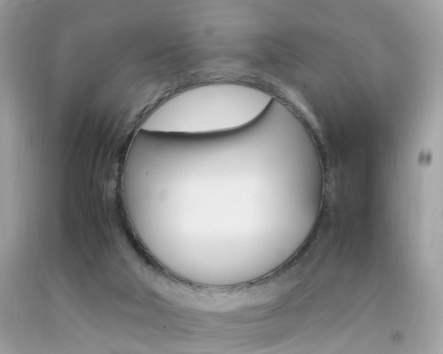 X0000092090018200709121135