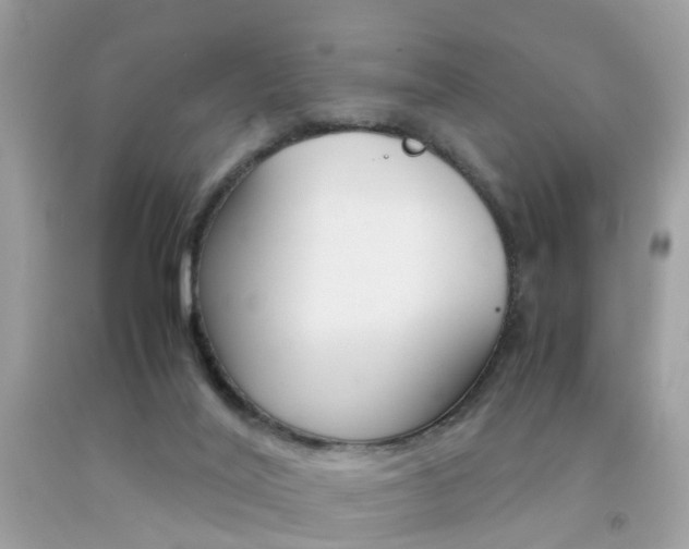 X0000092090020200709121135
