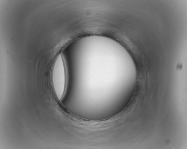 X0000092090023200709121135