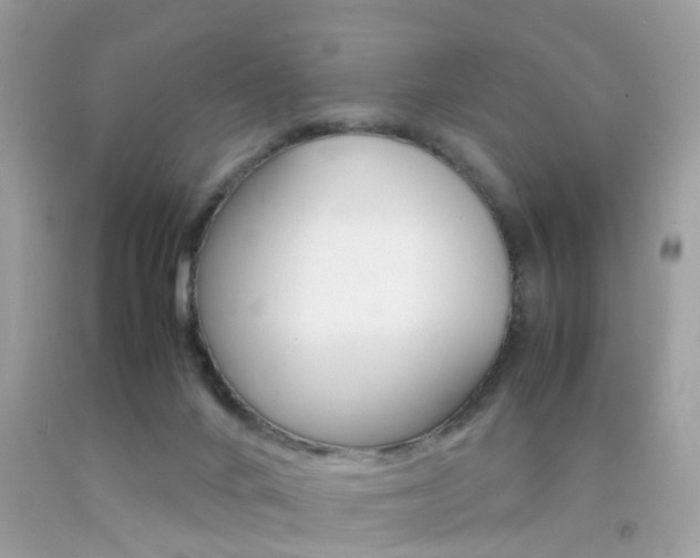 X0000092090024200709121135