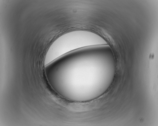 X0000092090025200709121135