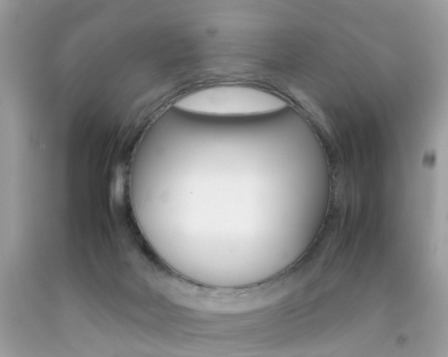 X0000092090026200709121135