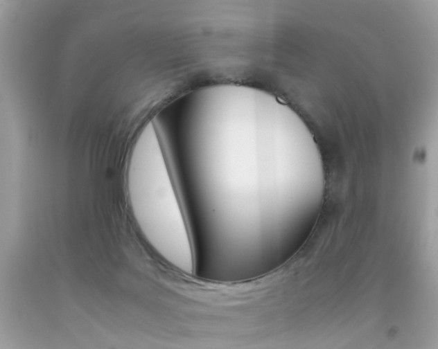X0000092090027200709121135