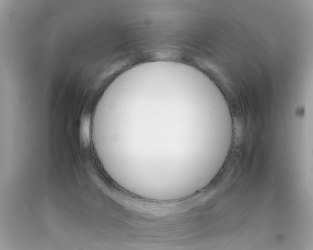 X0000092090028200709121135