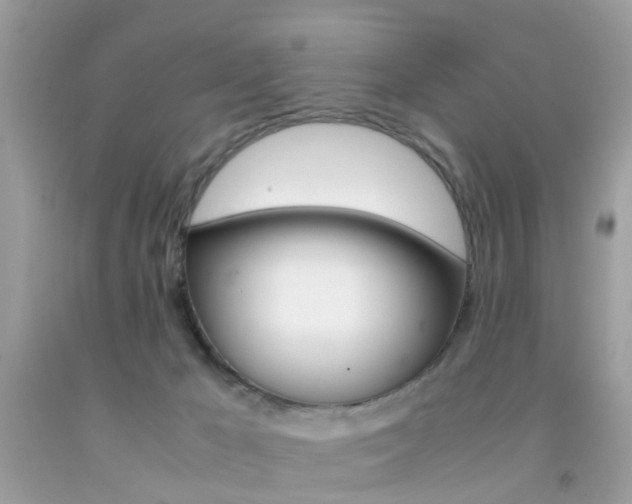 X0000092090029200709121135