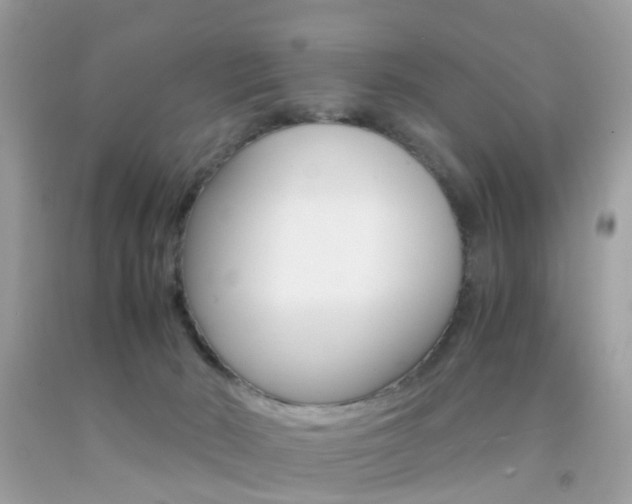 X0000092090030200709121135