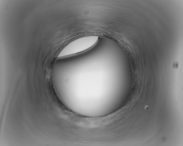 X0000092090033200709121135