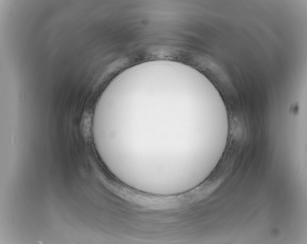 X0000092090036200709121135