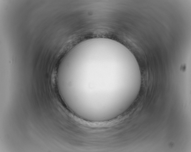 X0000092090038200709121135