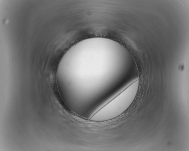 X0000092090039200709121135