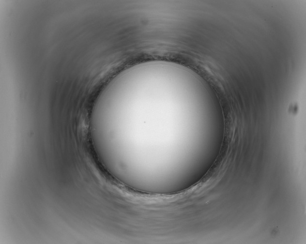 X0000092090040200709121135