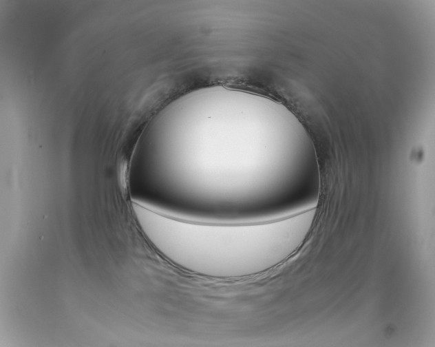 X0000092090041200709121135
