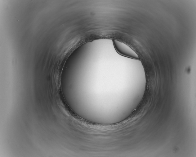 X0000092090044200709121135
