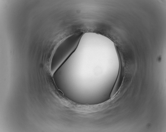 X0000092090045200709121135